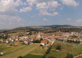 DËSHMORËVE TË ROGANËS