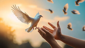 Mes Dhimbjes dhe Shpresës