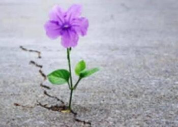 Mes Kohës dhe Harresës