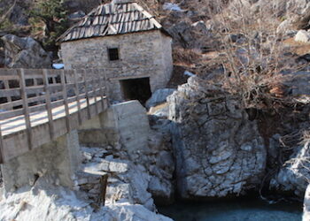 BUZË VALBONËS ËSHTË PIRË VERË DY MIJË VJET RRESHT