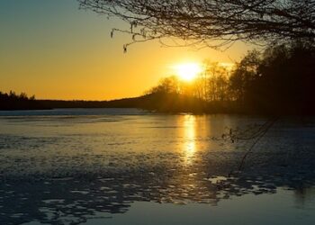 FJALA BËHET URË NË DITËN QË S’KA ARDHUR…