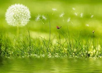 Xhiti dhe Udhëtarët e tij ( Pjesa e dytë)