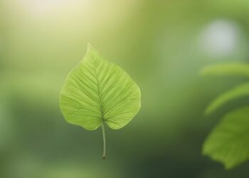 Xhiti dhe Udhëtarët e tij: Kapitulli i Tretë: Forca e Shpirtit