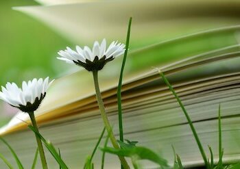 NËNA SALË – LOTËT QË S’U THANË KURRË