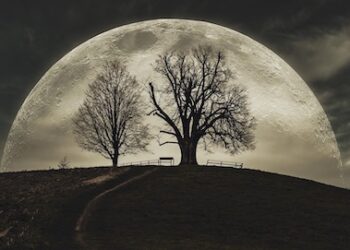 Unë jam unë – dhe kjo më mjafton