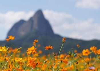 Reflektime nga një 55-vjeçar që fliste pak, por ndiente rëndë