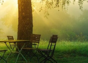 Mirazhi i Shkëlqimit të Rremë në sytë e të Vobektëve