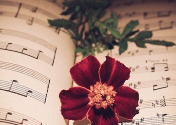 DËSHMITARE në DASHURI