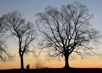 Sikur të kisha më shumë shokë…