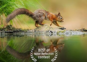 Ruzhdi Ibrahimi shpallet fitues në konkursin ndërkombëtar 35AWARDS