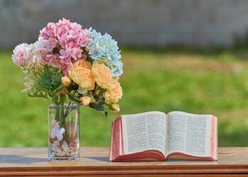 NJË TESTAMENT LETRAR PËR JETËN DHE VDEKJEN