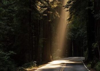 Nga kursimi për atdhe, tek mbijetesa për vete