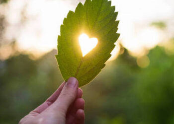 Loti i autores Nezi Plaku Velaj në zgavrat e tempujve