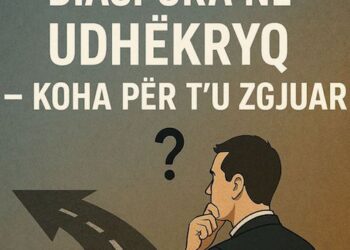 “Diaspora në udhëkryq – Koha për t’u zgjuar”