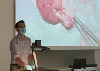 Si të mësojmë me efektivitet të lartë duke marrë shënime? Të dhënat nga neuoshkenca