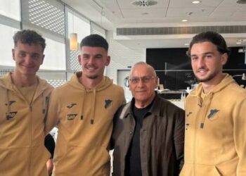 Pas Avdullahut, Kosova synon edhe Albian Hajdarin: Agim Ademi takohet me treshen kosovare në Hoffenheim