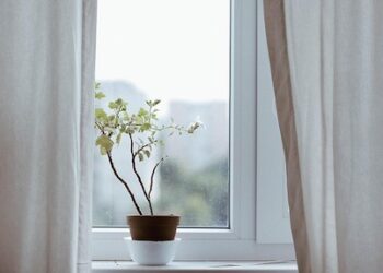 Çka delë prej Macës, hanë Mijë