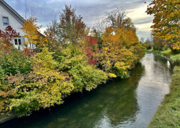 Zemër e ngrohtë për dimrin e atdheut