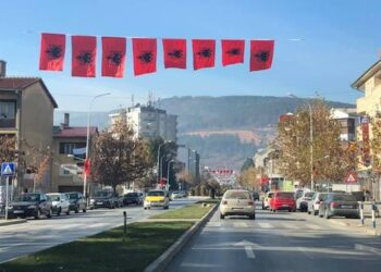 THIRRJE PUBLIKE PËR MËRGATËN E KËRÇOVËS NË ZVICËR