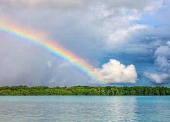 KOHË E SHITUR NË PAZARIN E HIJEVE