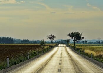 Mendimi i një Mërgimtari nga sytë e largët dhe të afërt