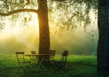 NJERIU I MIRË ME SHPIRT TË BARDHË