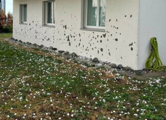 Pamje të rralla nga Zvicra: Breshër me kokrra gjigante godet zonën pranë aeroportit të Cyrihut