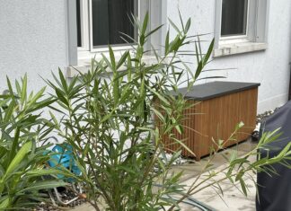 Brenda vetëm pesë minutash, Höri në kantonin e Cyrihut mori një pamje krejt tjetër