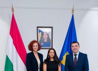 Kosova drejt pjesëmarrjes në “Valley of Arts”, hapen mundësi të reja për promovimin e kulturës kosovare në Hungari