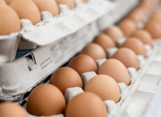 Një milionë vezë të importuara çdo muaj nga Serbia, paketohen dhe shiten si “produkt vendi”