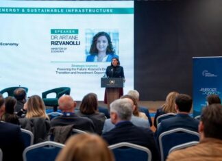 Rizvanolli fton investitorët gjermanë të investojnë në energjinë e ripërtëritshme në Kosovë
